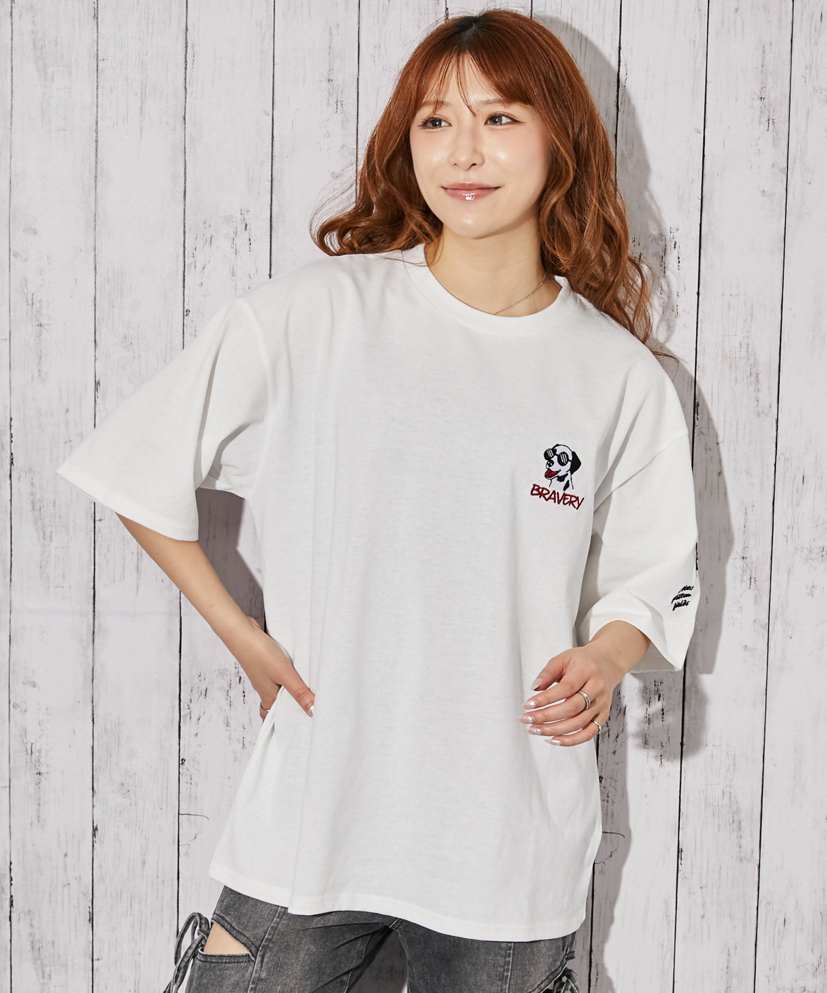 ドッグ刺繍×袖刺繍デザイン》Tシャツ／ストリート／春夏秋／全3色