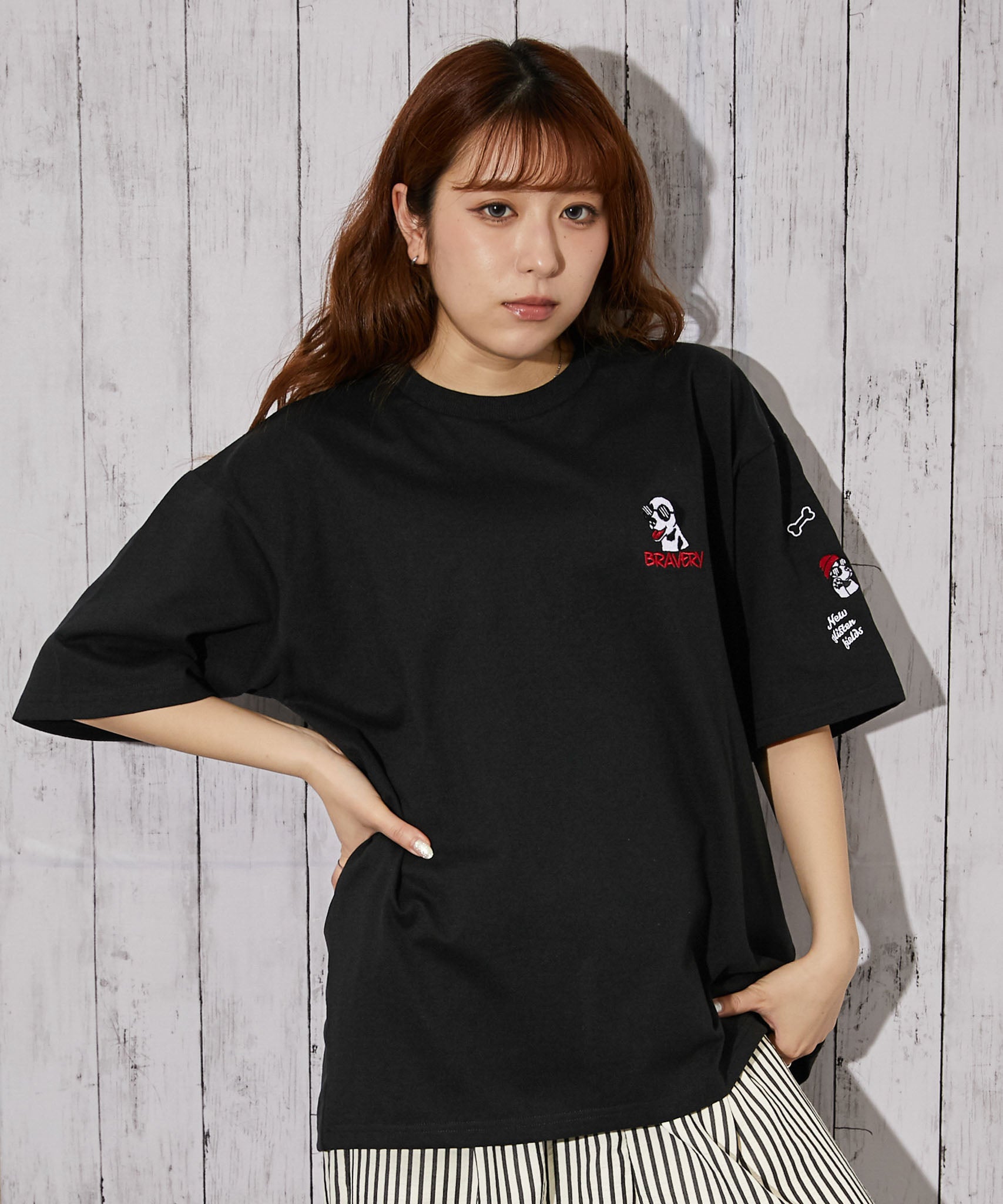 ドッグ刺繍×袖刺繍デザイン》Tシャツ／ストリート／春夏秋／全3色